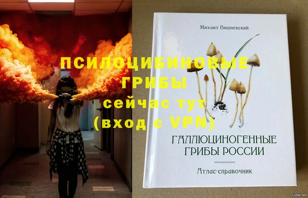 apvp Нязепетровск