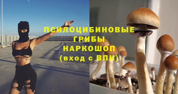 мяу мяу мука Няндома