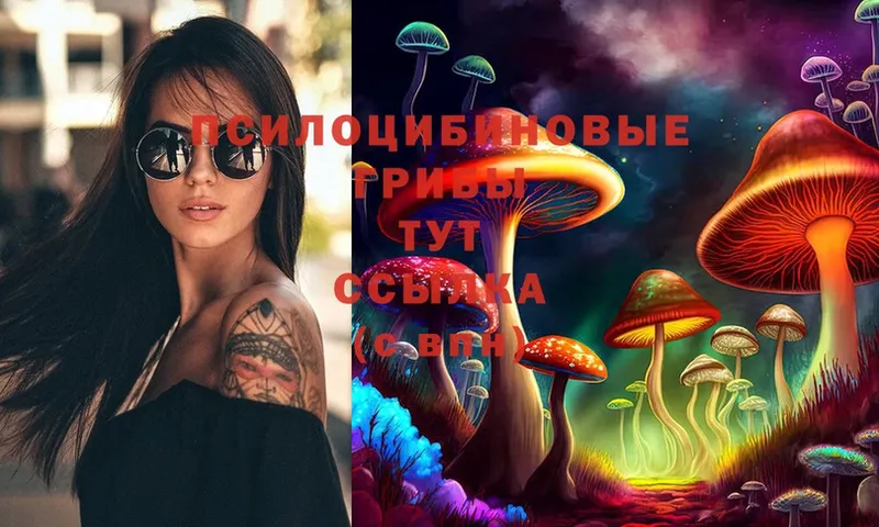 Псилоцибиновые грибы Psilocybe  Саки 