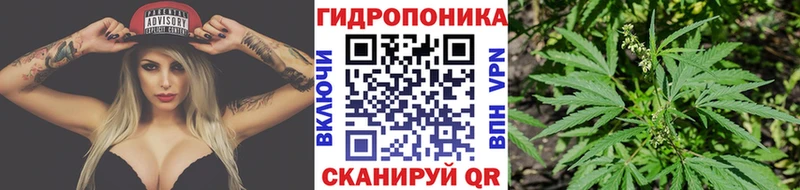 omg вход  Саки  Шишки марихуана White Widow 